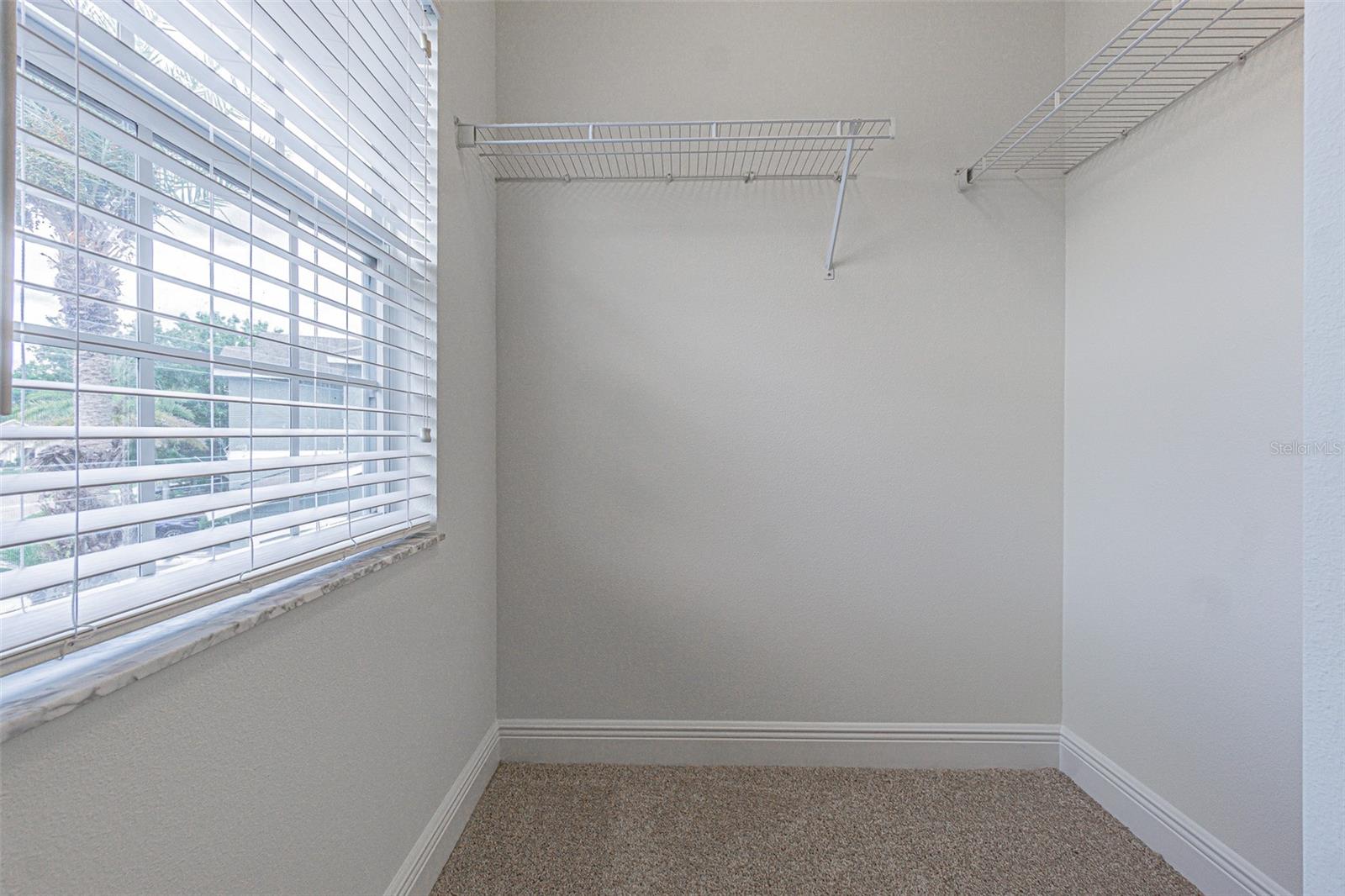 5709 WHITE TRILLIUM LOOP, LAND O LAKES, FL, 34639