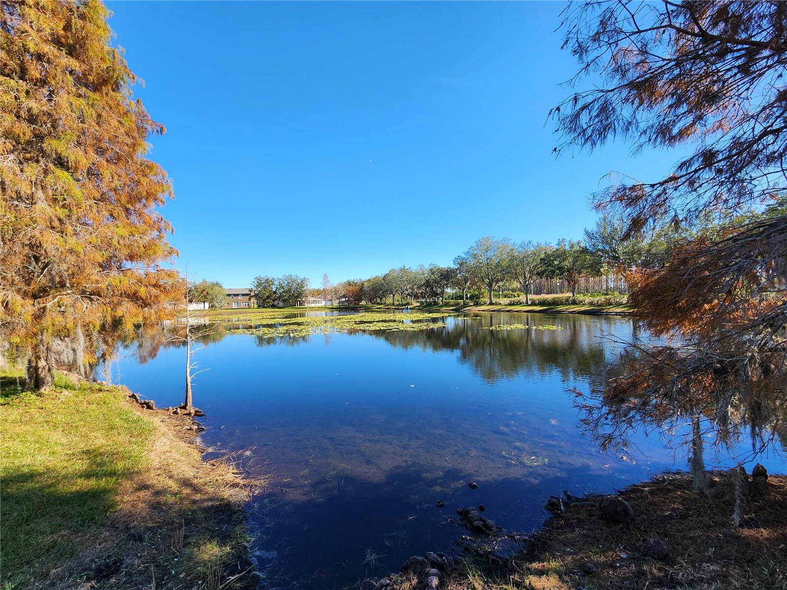 5709 WHITE TRILLIUM LOOP, LAND O LAKES, FL, 34639