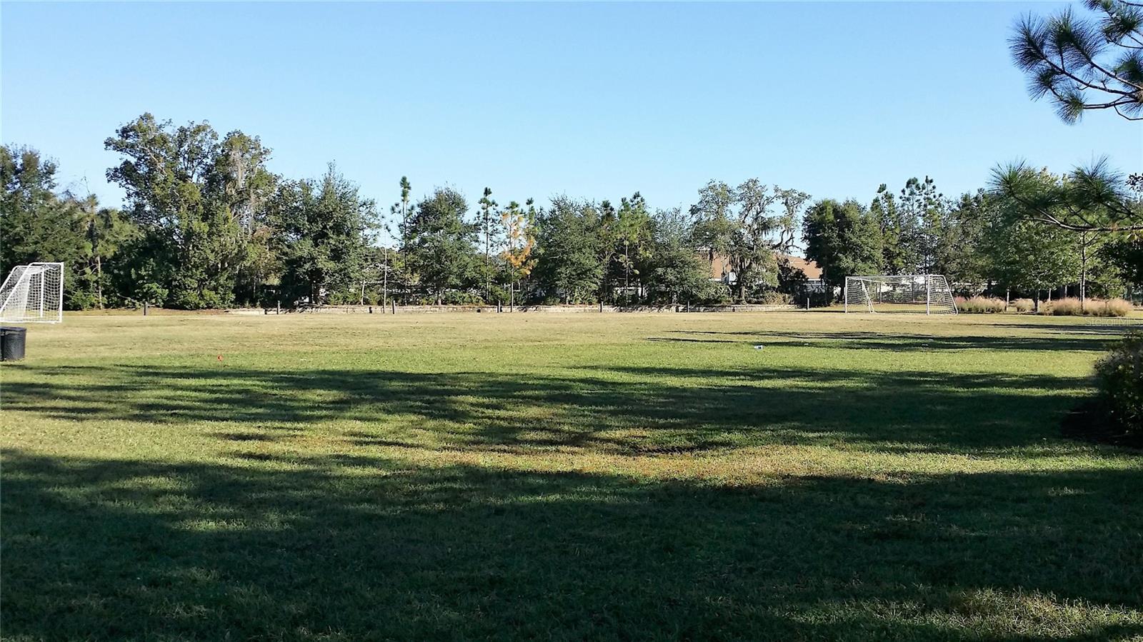 5709 WHITE TRILLIUM LOOP, LAND O LAKES, FL, 34639