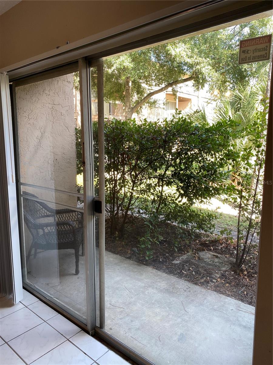 7519 PITCH PINE CIR #171 (B), TAMPA, FL, 33617