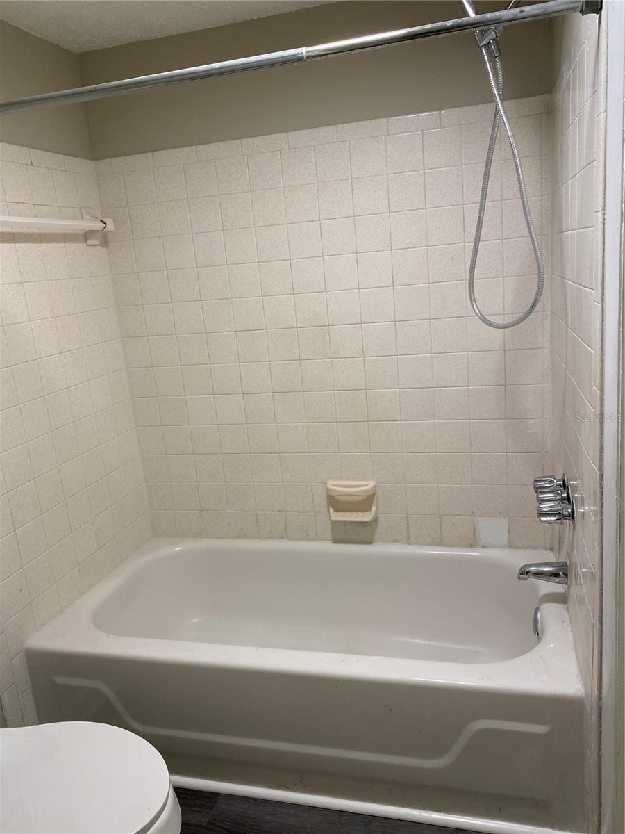 7519 PITCH PINE CIR #171 (B), TAMPA, FL, 33617