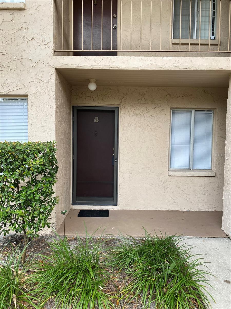 7519 PITCH PINE CIR #171 (B), TAMPA, FL, 33617