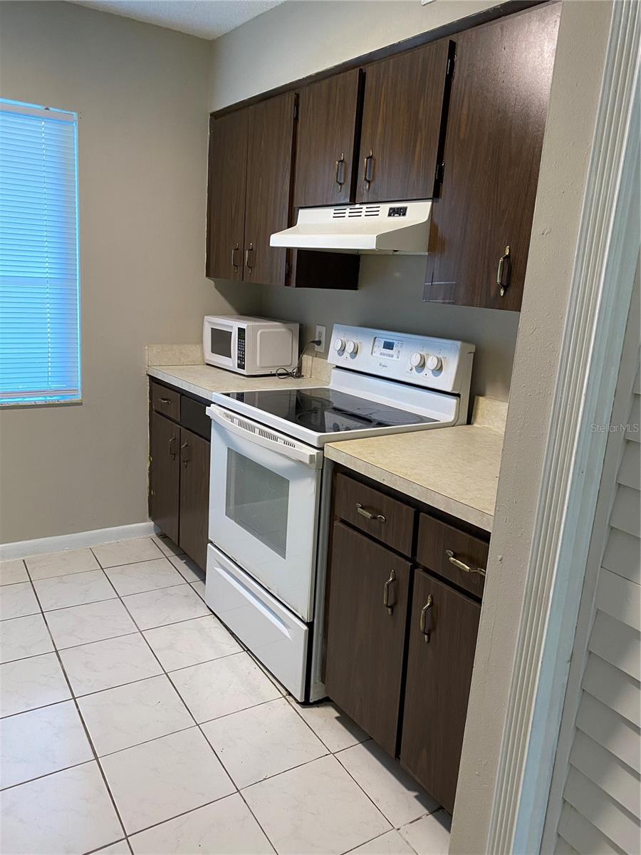 7519 PITCH PINE CIR #171 (B), TAMPA, FL, 33617