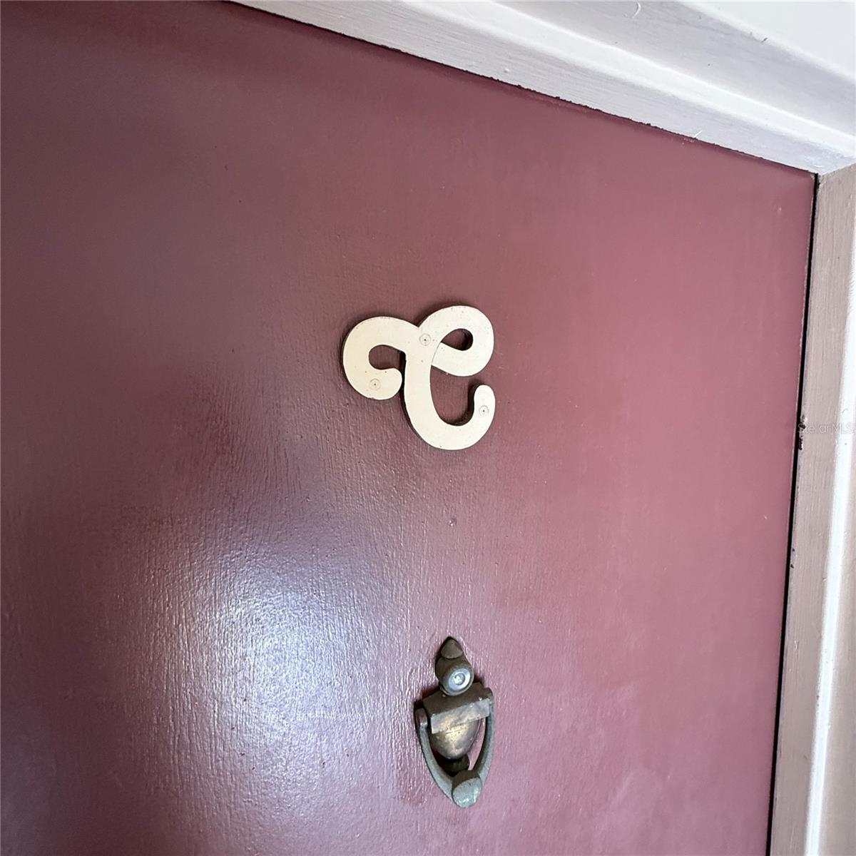 7526 NEEDLE LEAF PL #29, TAMPA, FL, 33617