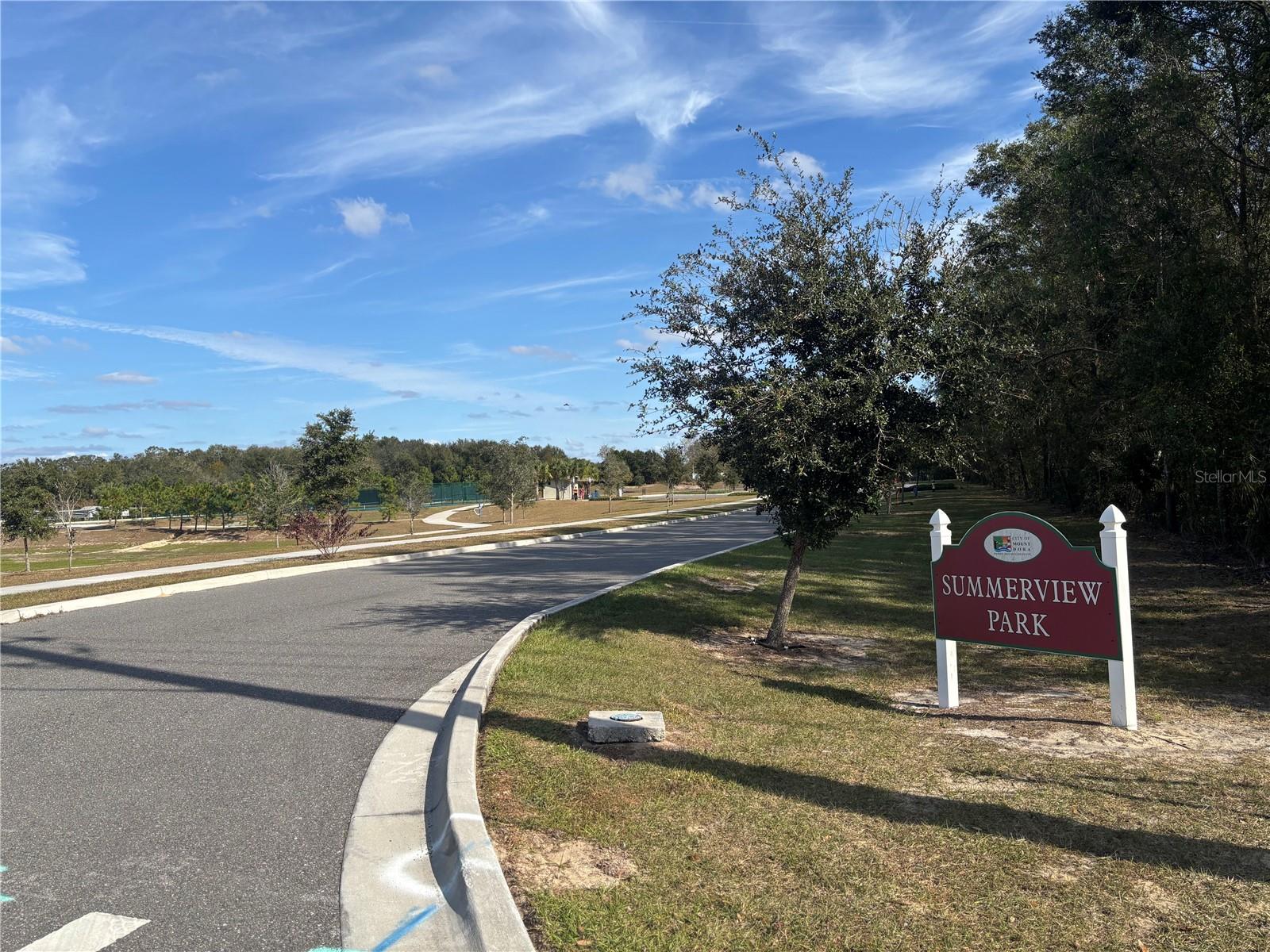 1724 POINT O WOODS CT, MOUNT DORA, FL, 32757