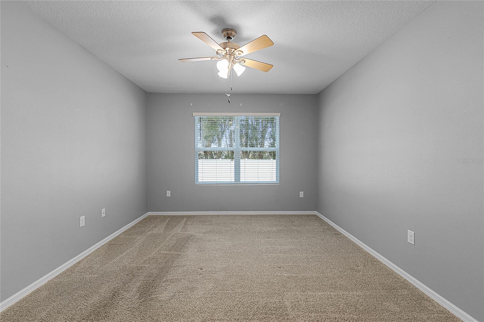 1724 POINT O WOODS CT, MOUNT DORA, FL, 32757
