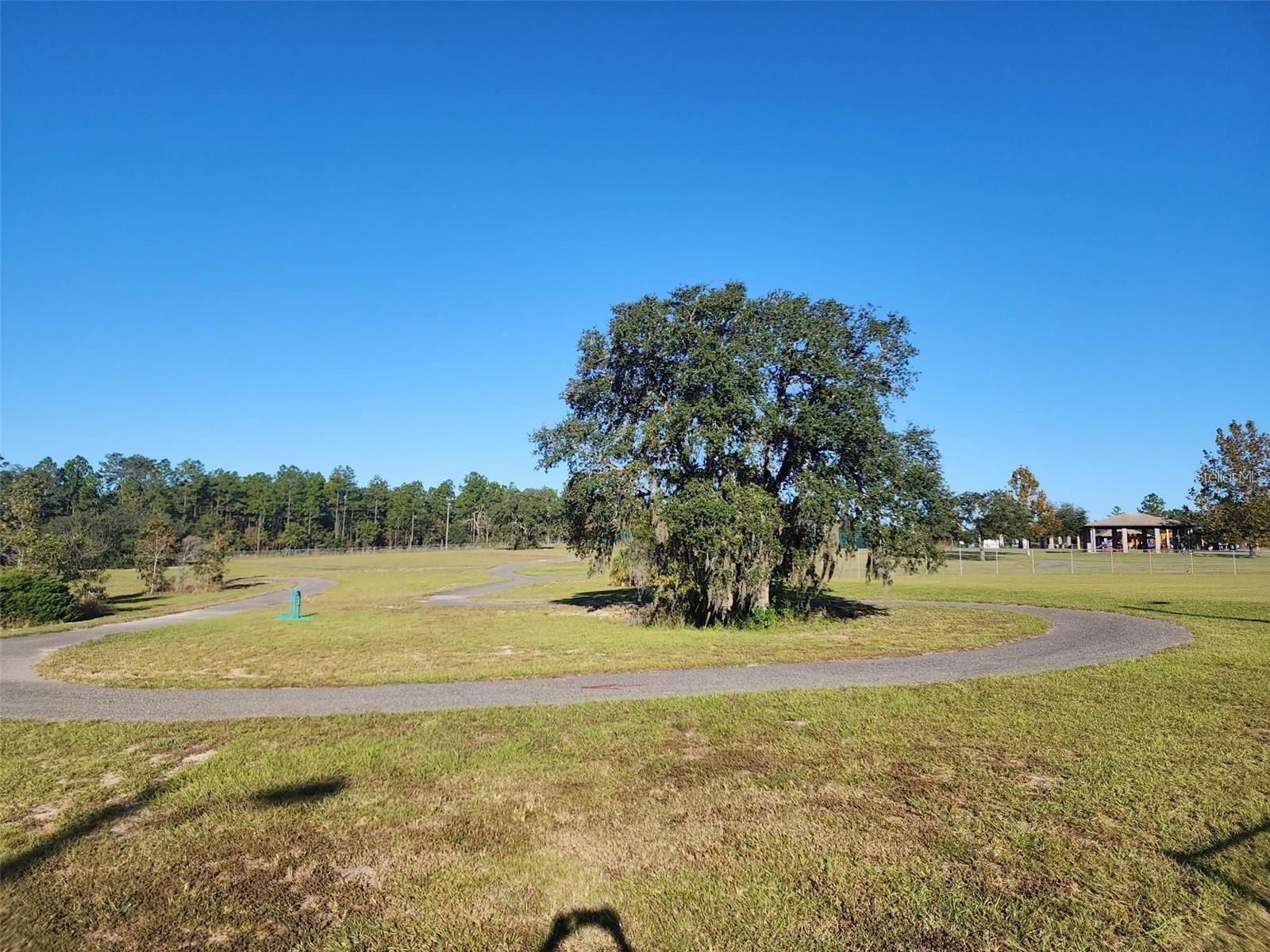 131 SW SYCAMORE RD, DUNNELLON, FL, 34431
