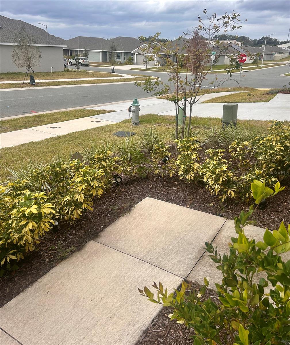 269 PIAVE ST, HAINES CITY, FL, 33844