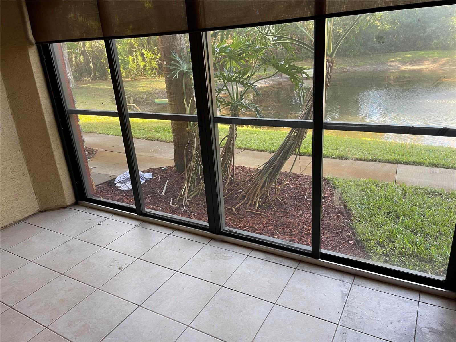 2138 CHIANTI PL #11, PALM HARBOR, FL, 34683