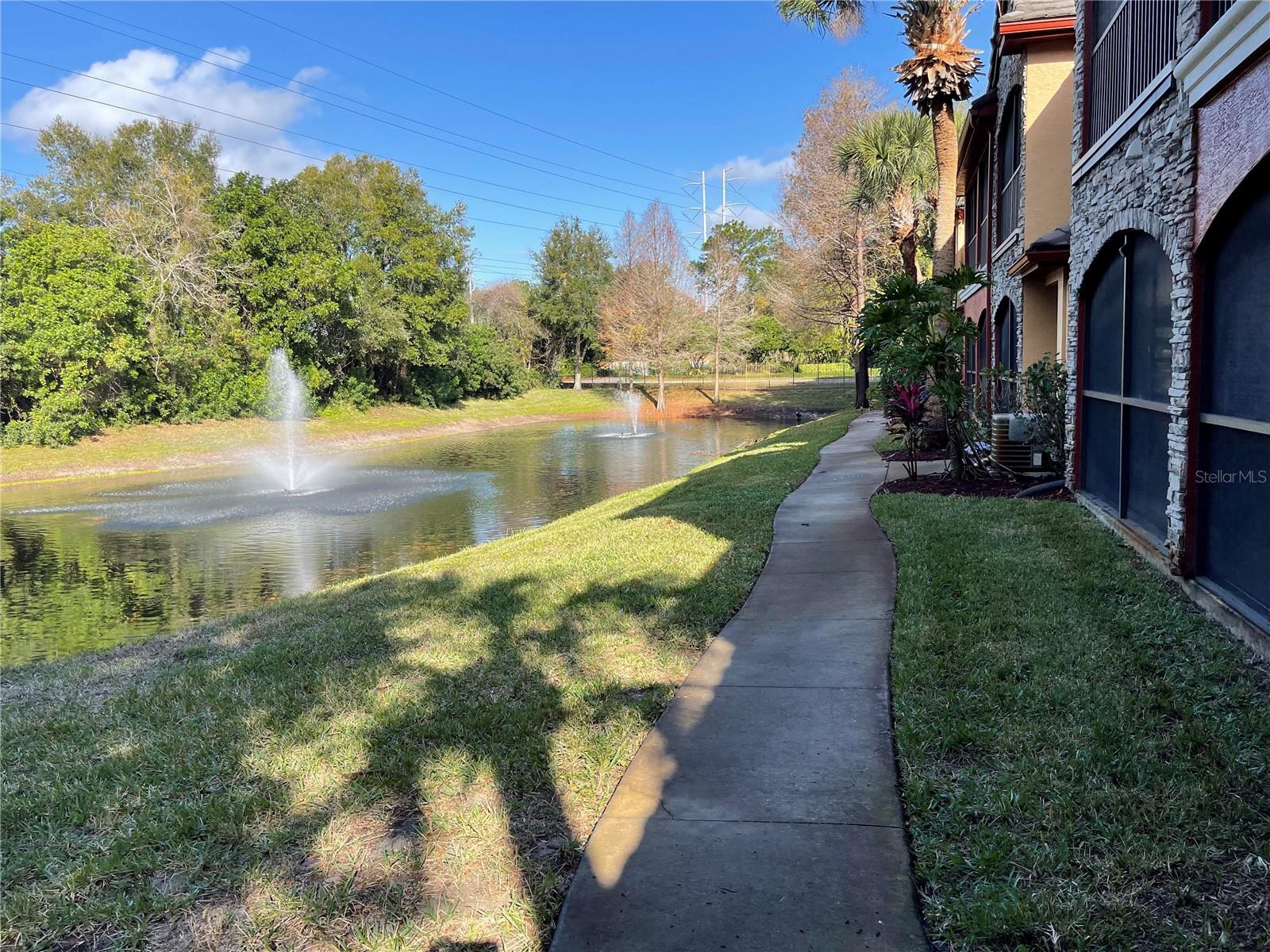 2138 CHIANTI PL #11, PALM HARBOR, FL, 34683