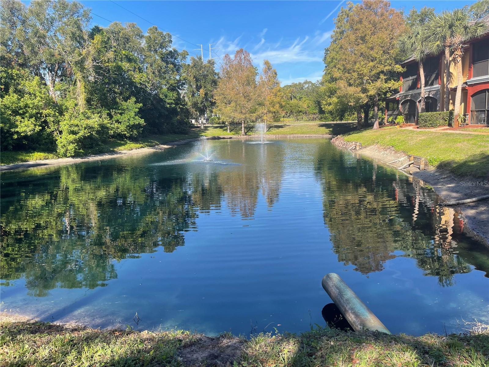 2138 CHIANTI PL #11, PALM HARBOR, FL, 34683