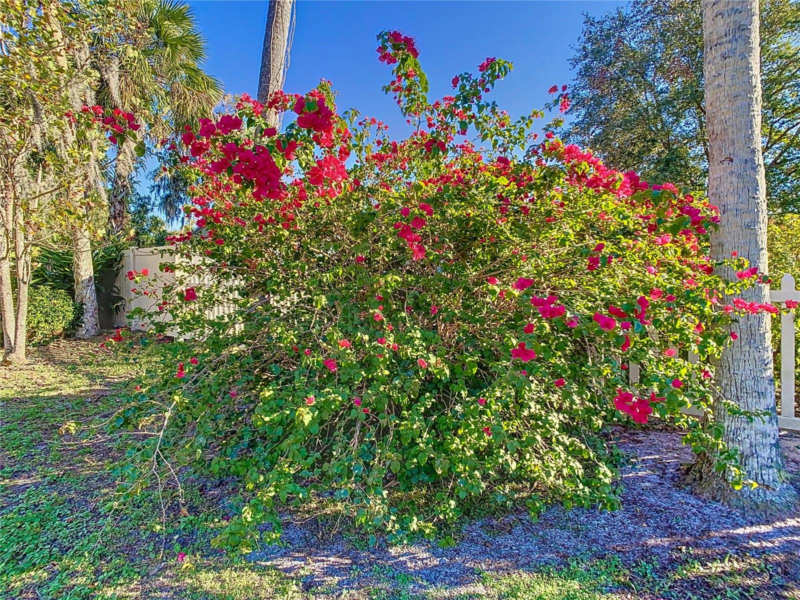 410 N THORPE AVE, ORANGE CITY, FL, 32763