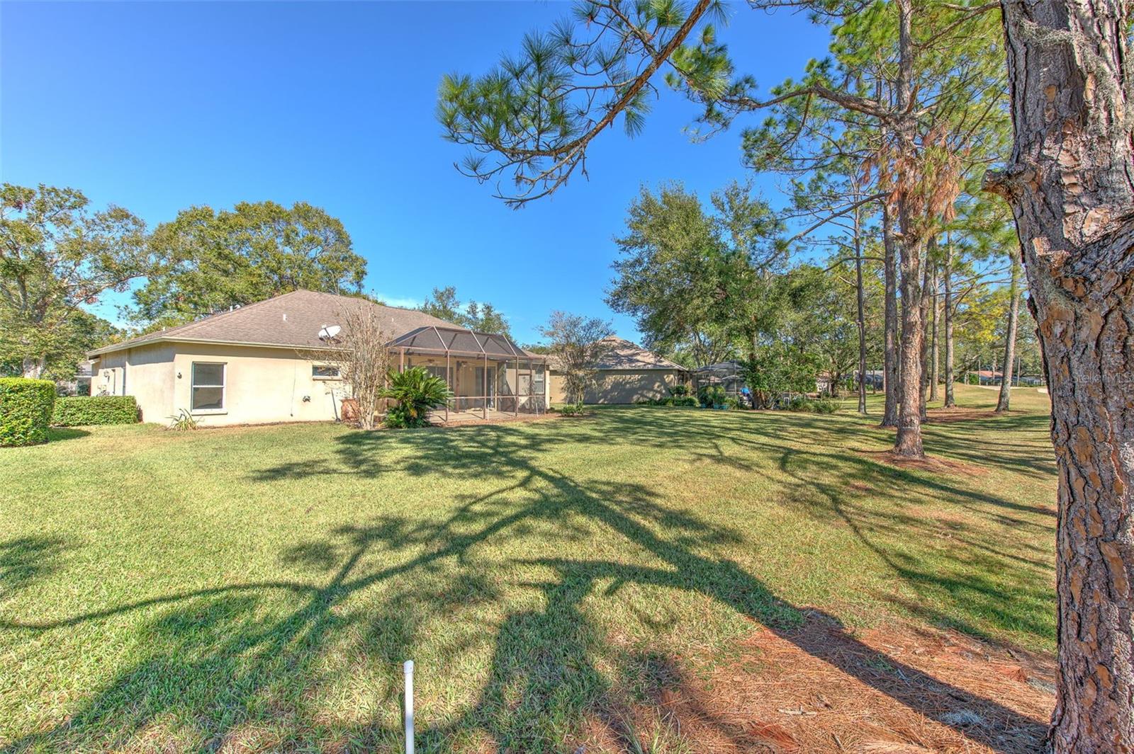 4808 WILLOW RIDGE TER, VALRICO, FL, 33596