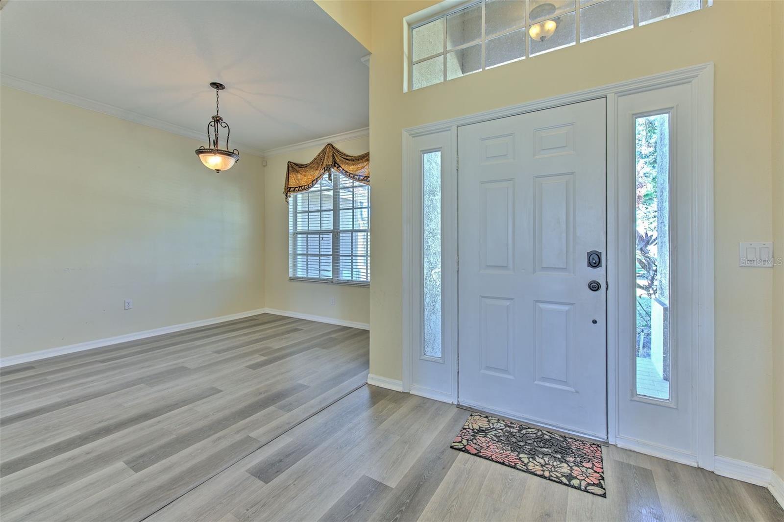 4808 WILLOW RIDGE TER, VALRICO, FL, 33596
