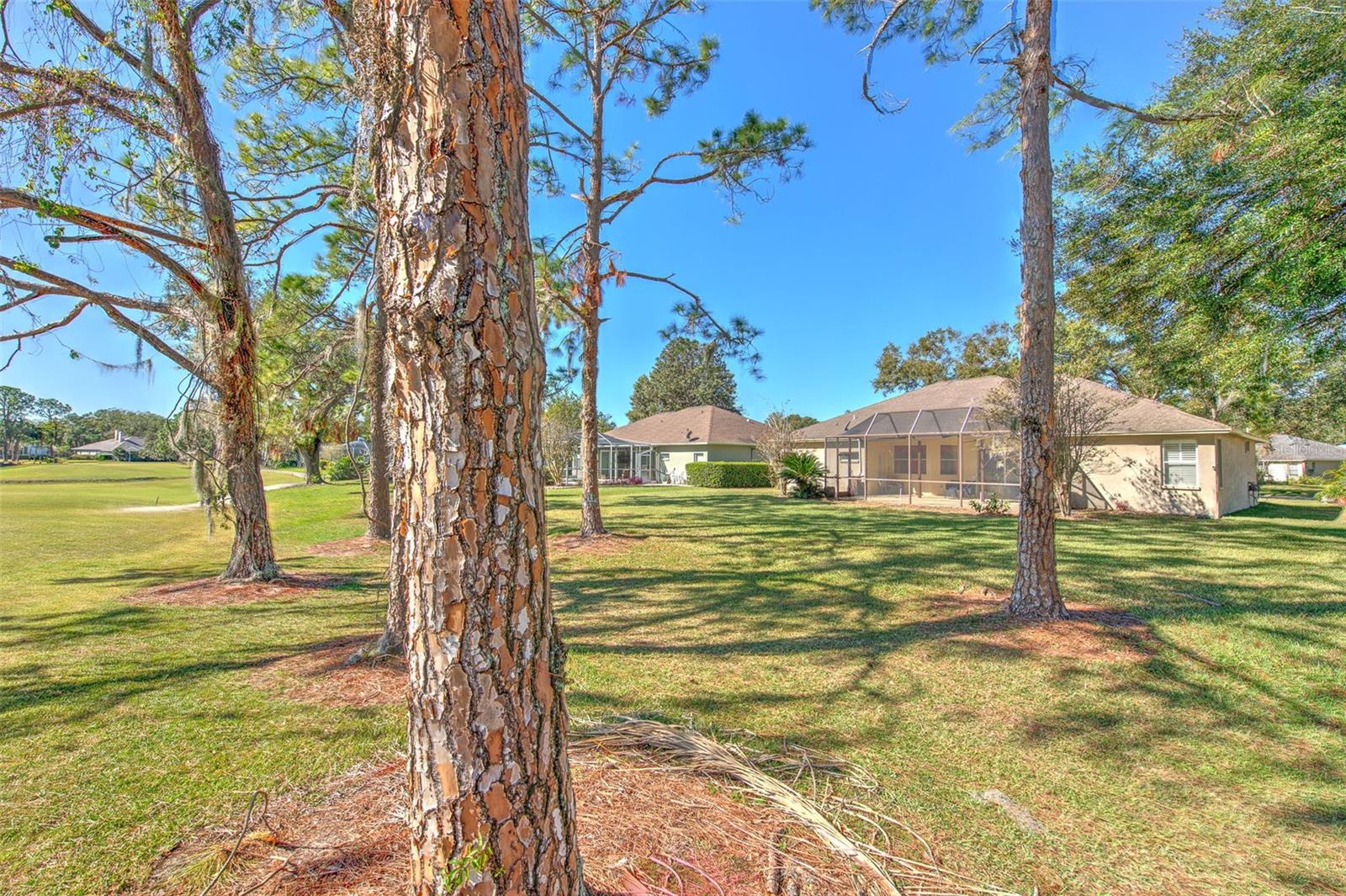 4808 WILLOW RIDGE TER, VALRICO, FL, 33596