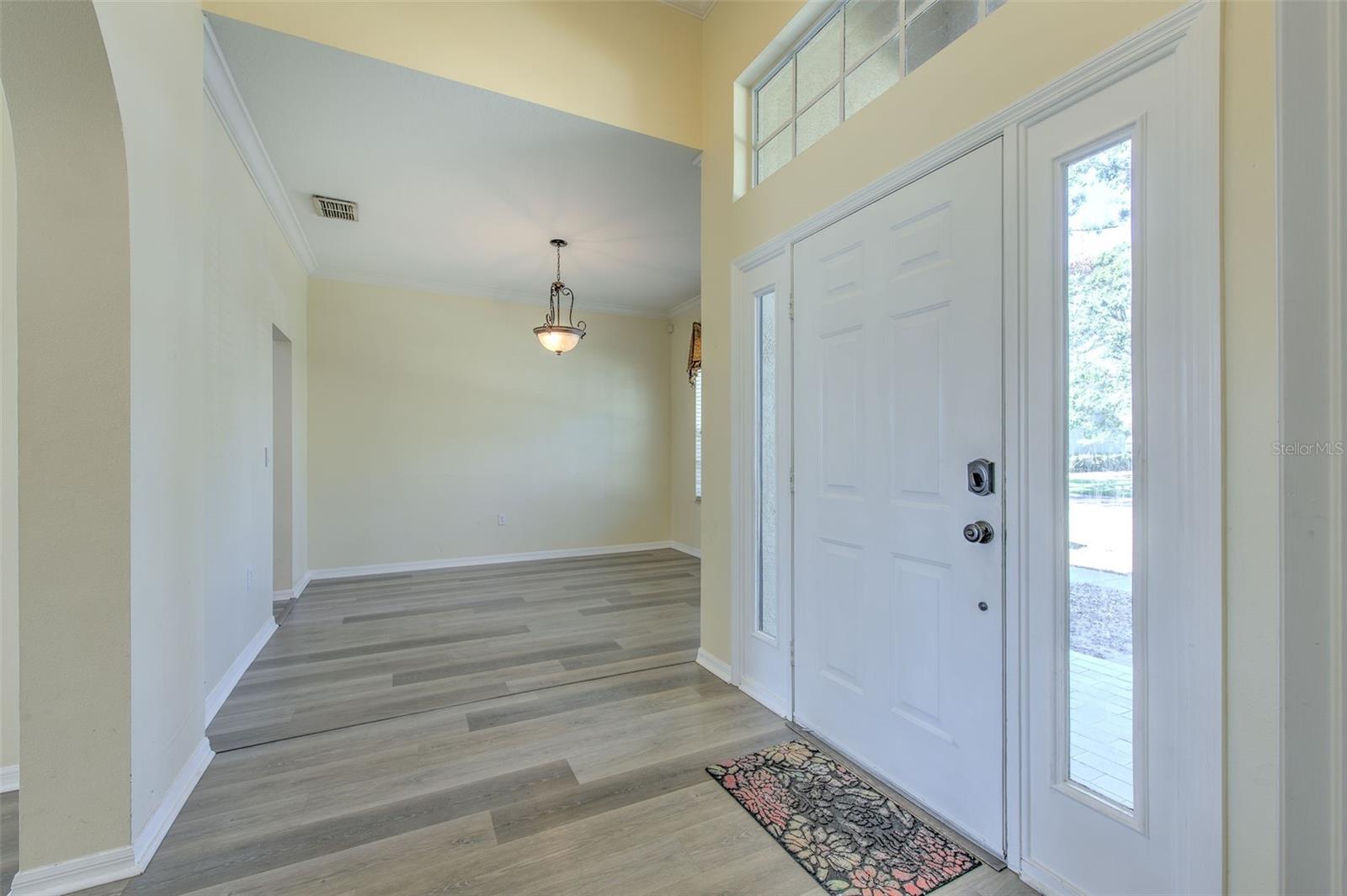 4808 WILLOW RIDGE TER, VALRICO, FL, 33596