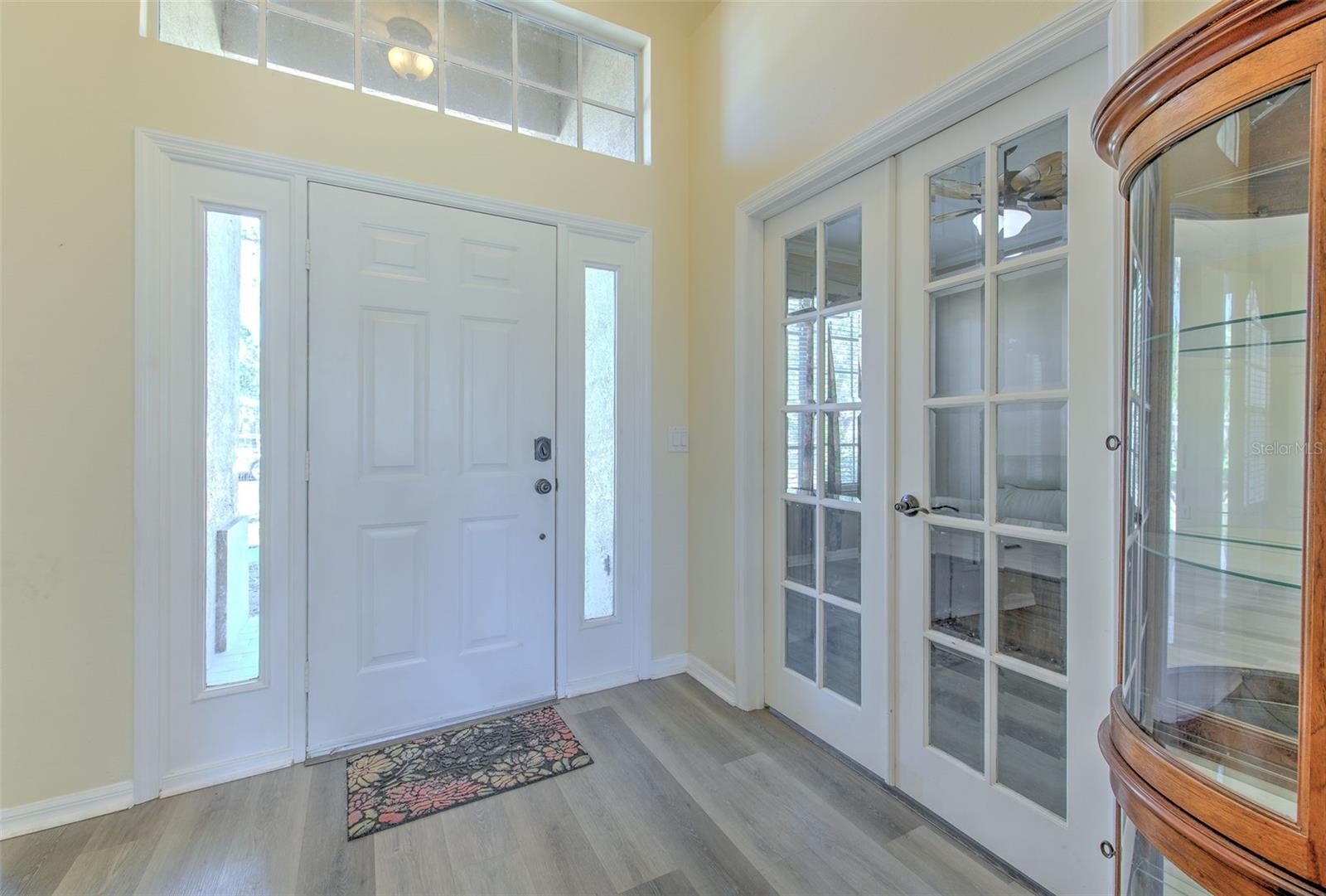 4808 WILLOW RIDGE TER, VALRICO, FL, 33596