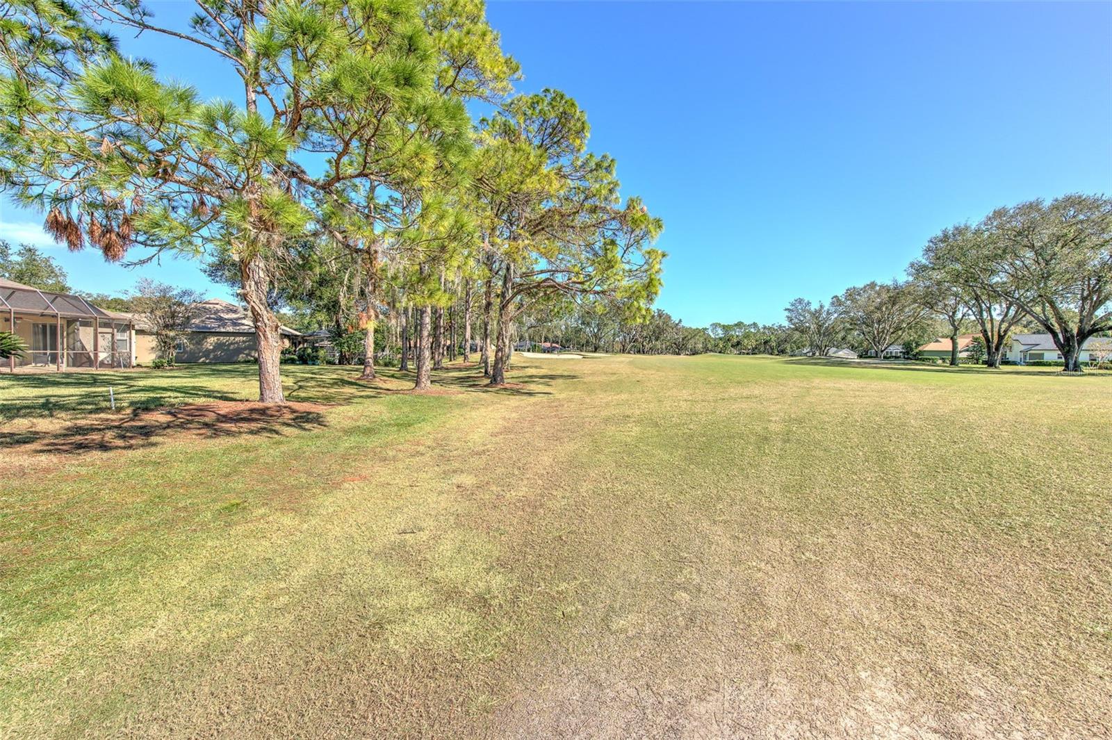 4808 WILLOW RIDGE TER, VALRICO, FL, 33596