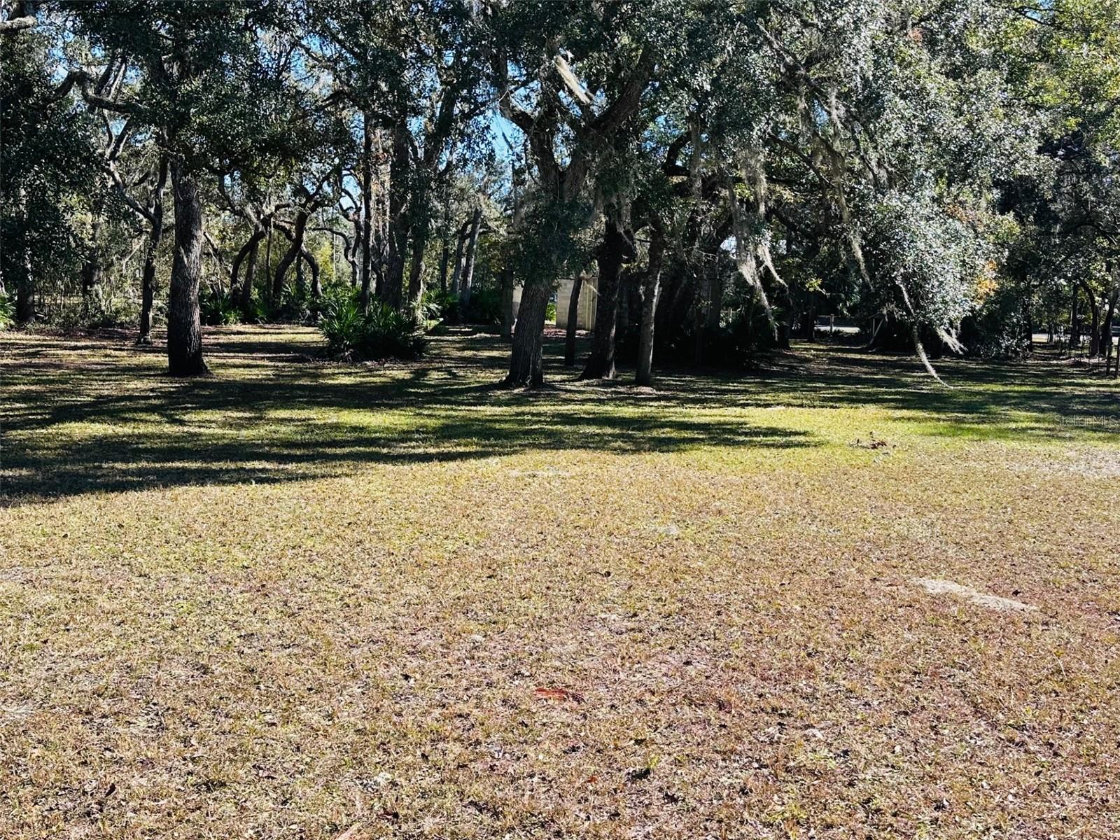 2180 SE HIGHWAY 317, OLD TOWN, FL, 32680