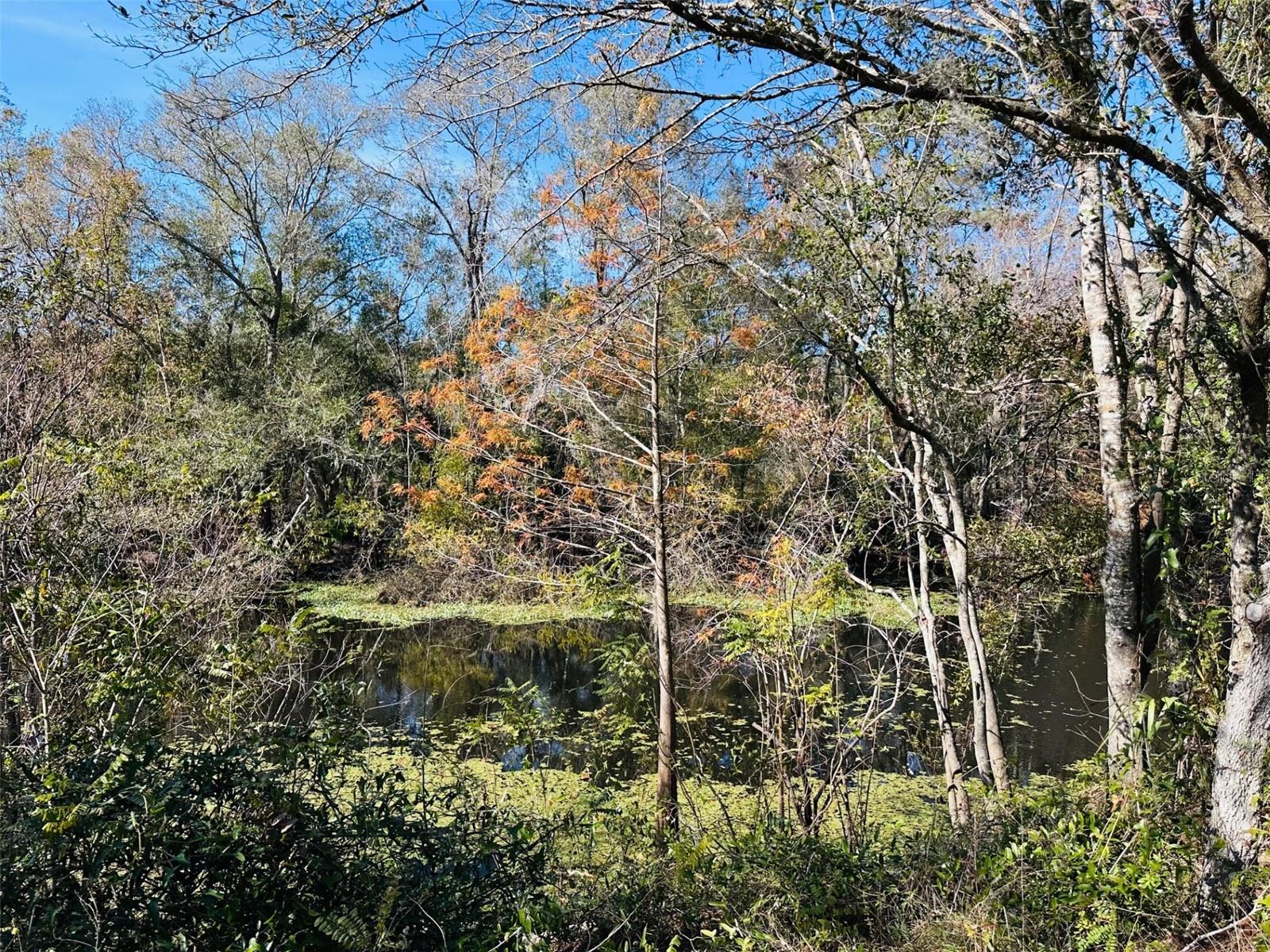 2180 SE HIGHWAY 317, OLD TOWN, FL, 32680
