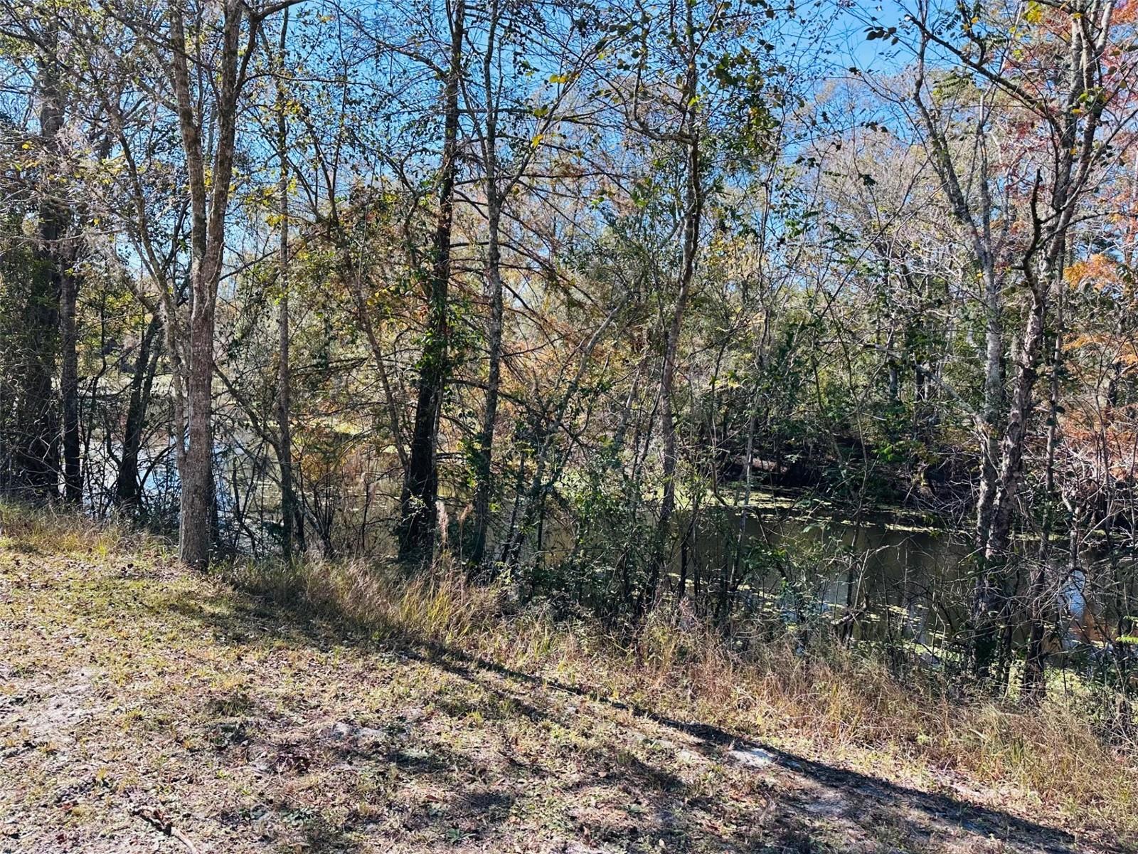 2180 SE HIGHWAY 317, OLD TOWN, FL, 32680