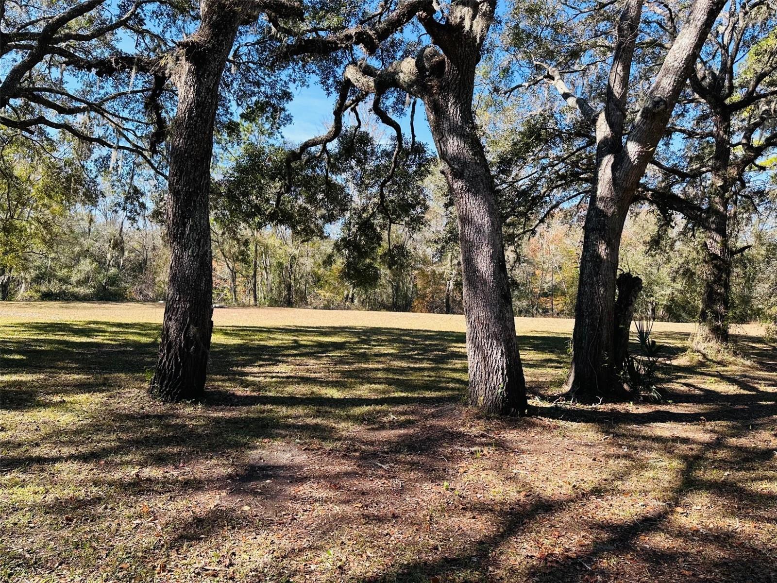 2180 SE HIGHWAY 317, OLD TOWN, FL, 32680