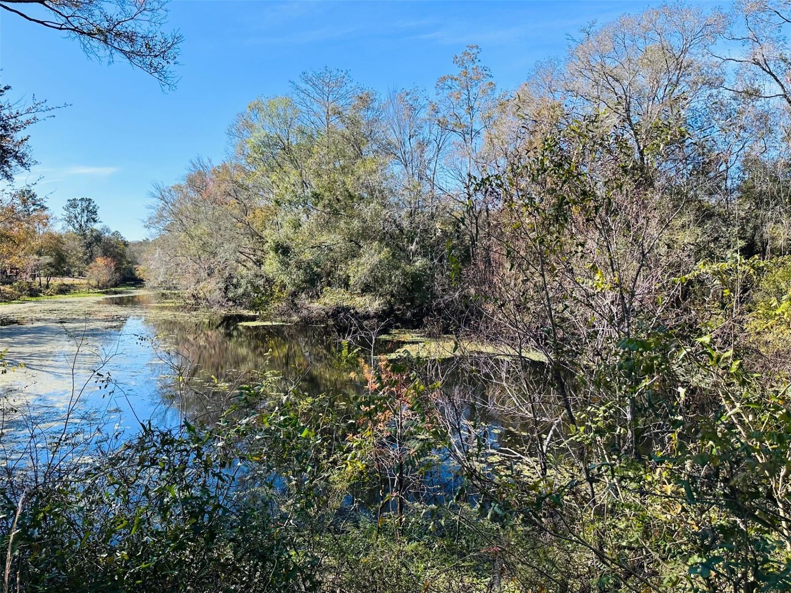 2180 SE HIGHWAY 317, OLD TOWN, FL, 32680