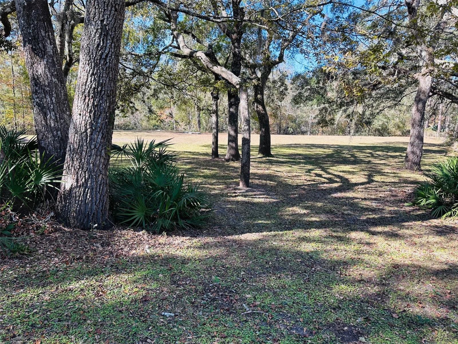 2180 SE HIGHWAY 317, OLD TOWN, FL, 32680