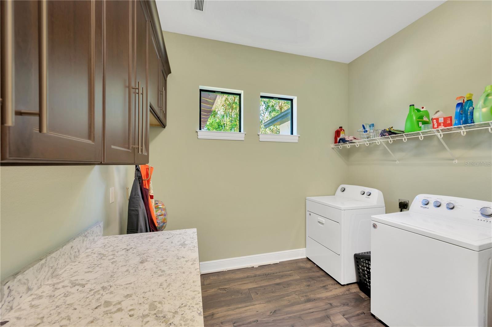 19315 SHORTLEAF PINE LN, ODESSA, FL, 33556