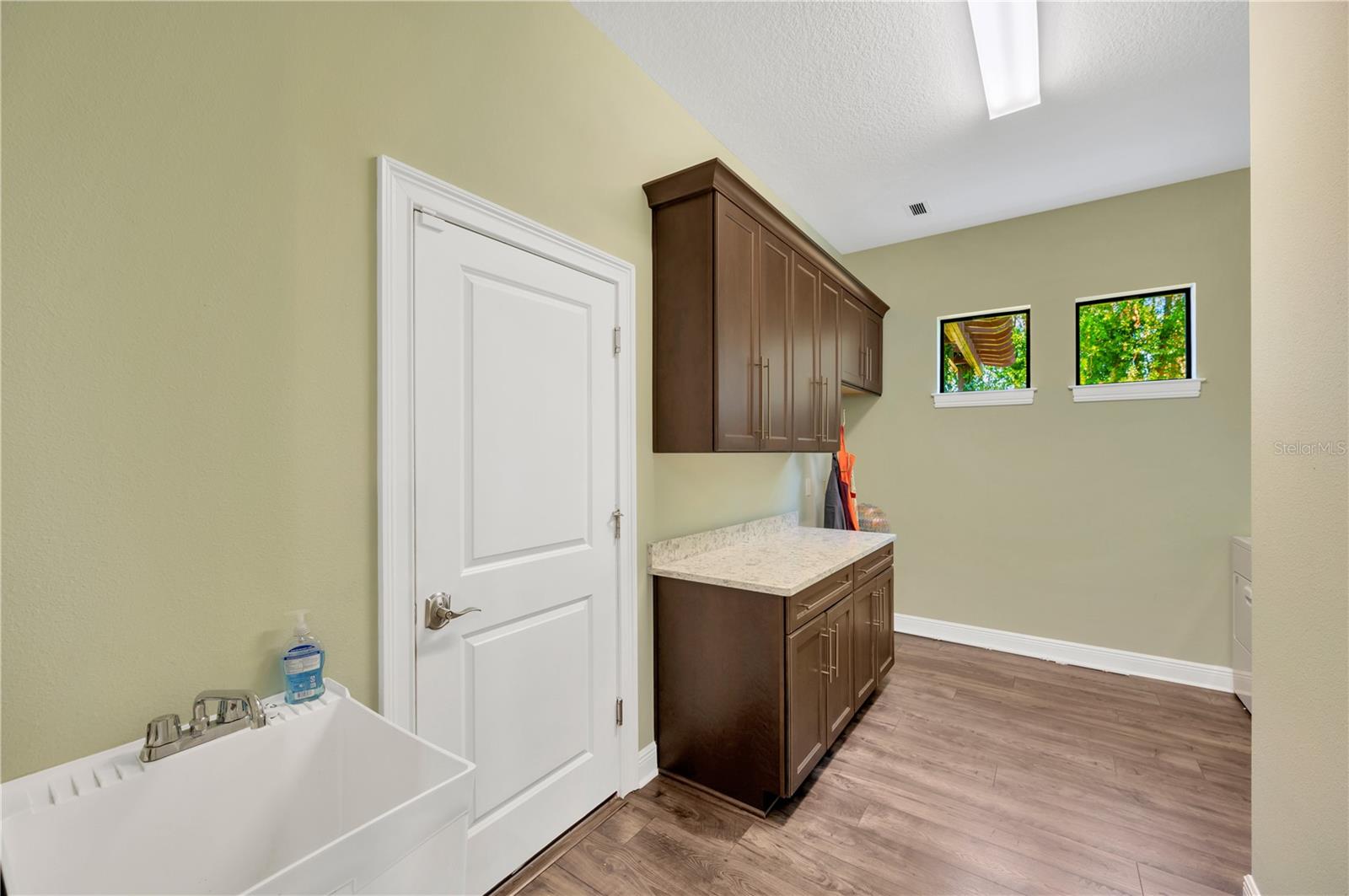 19315 SHORTLEAF PINE LN, ODESSA, FL, 33556