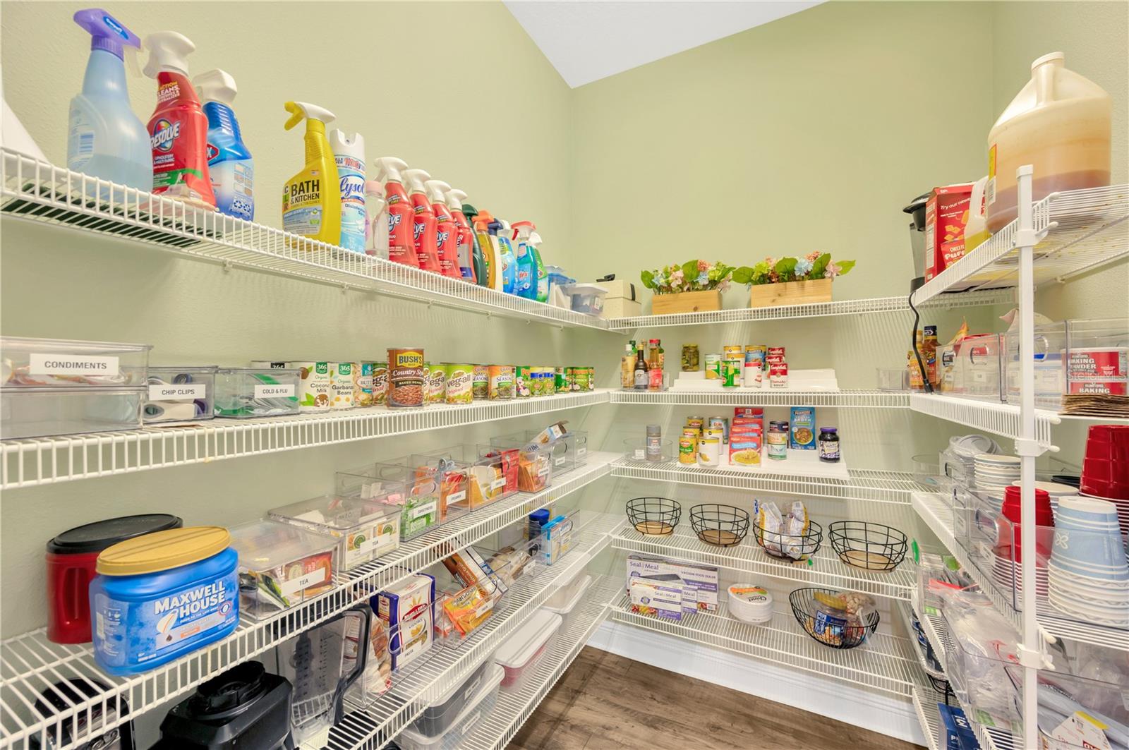 19315 SHORTLEAF PINE LN, ODESSA, FL, 33556