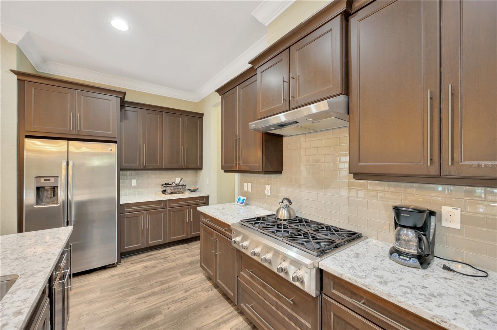 19315 SHORTLEAF PINE LN, ODESSA, FL, 33556