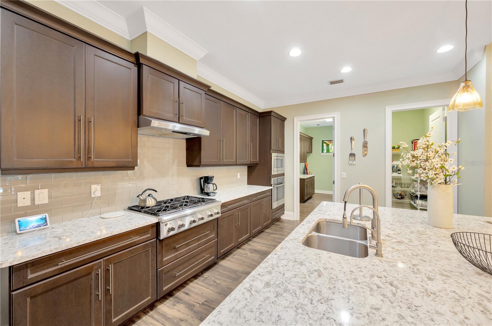 19315 SHORTLEAF PINE LN, ODESSA, FL, 33556