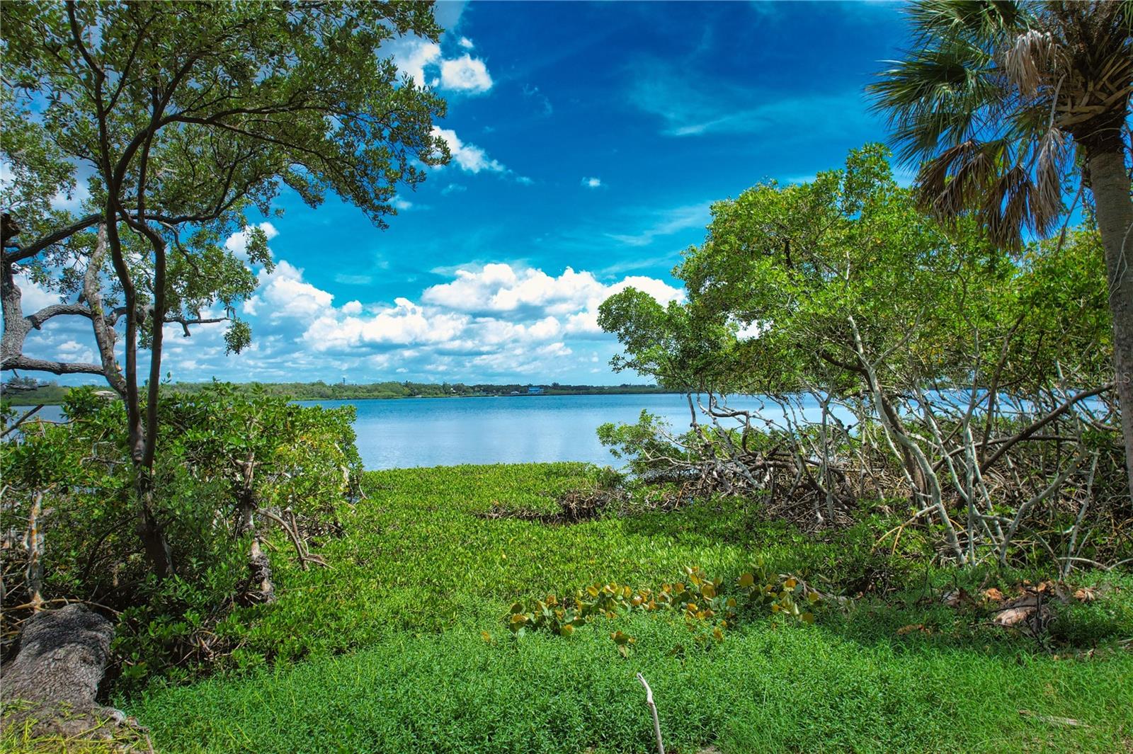 160 BAYSHORE DR, TERRA CEIA, FL, 34250