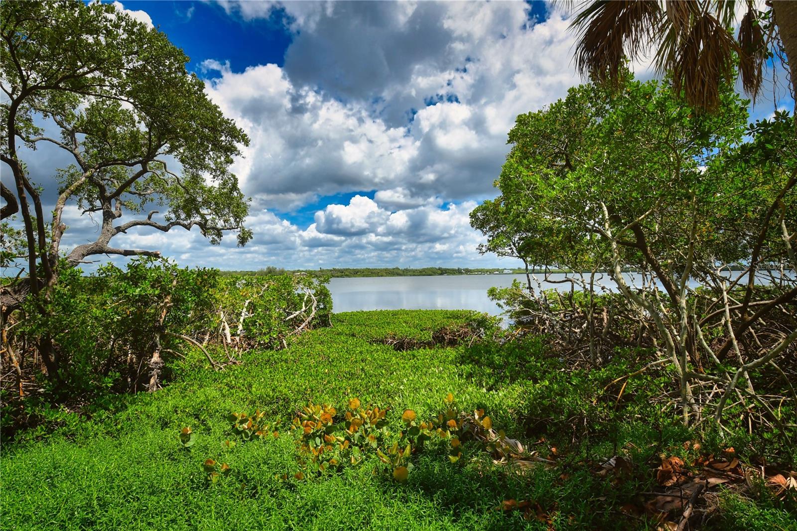 160 BAYSHORE DR, TERRA CEIA, FL, 34250