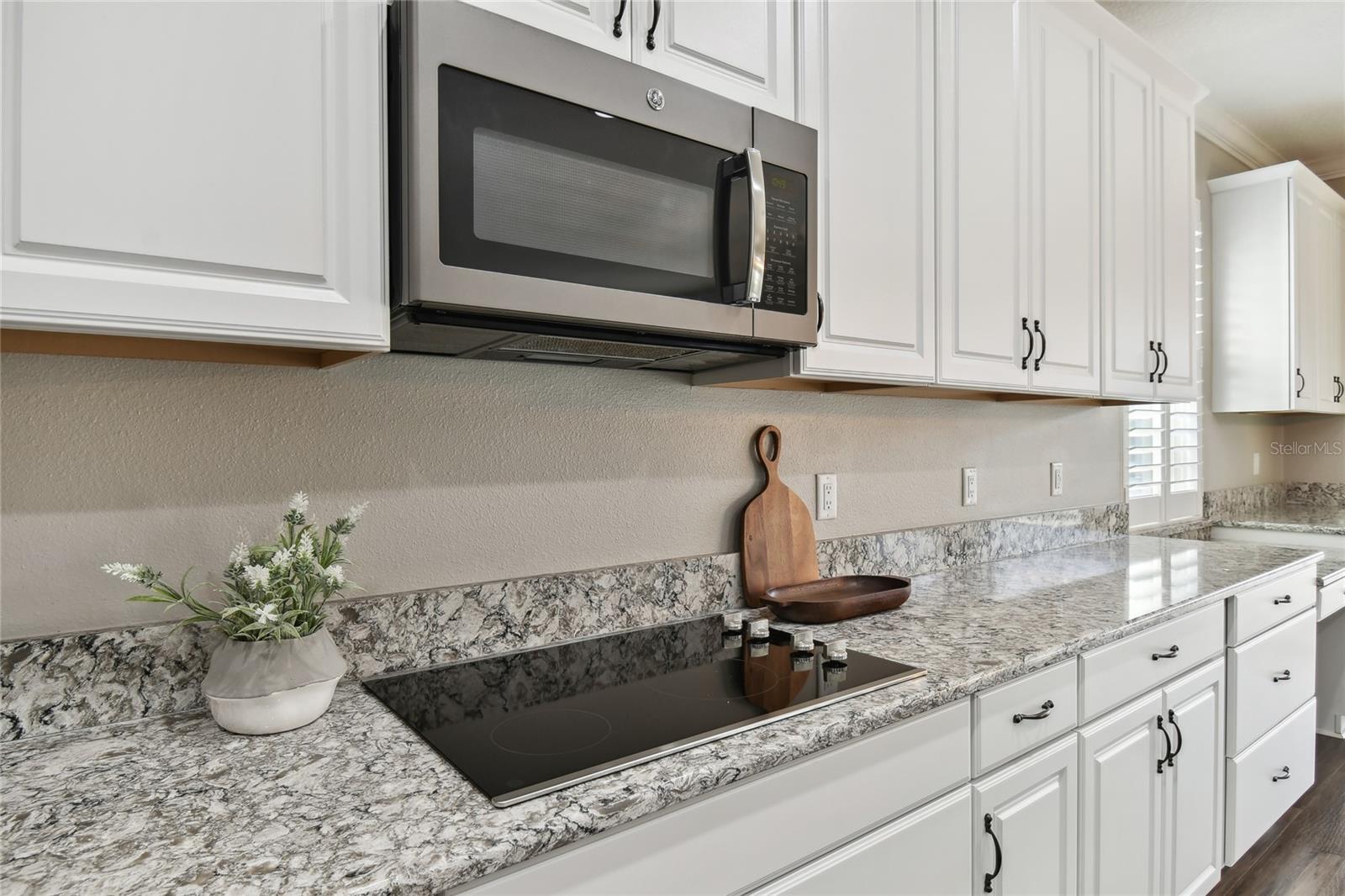 21752 BRISKE MORNING AVE, LAND O LAKES, FL, 34637