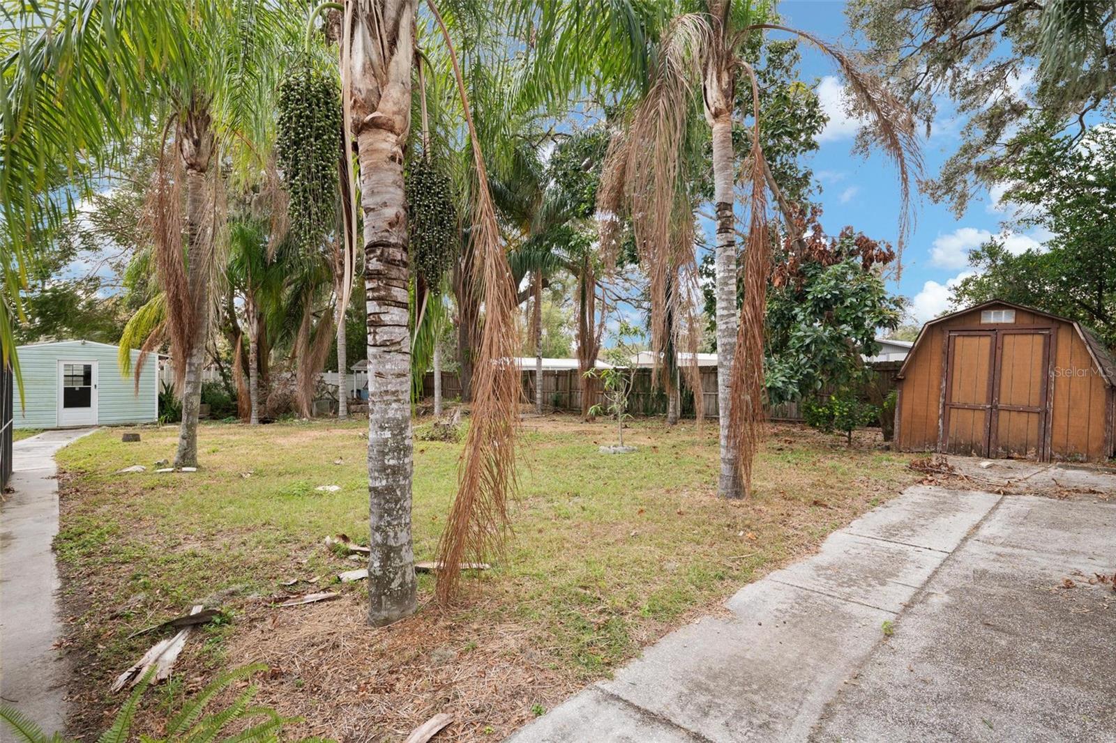 2229 ARCH MCDONALD DR, DOVER, FL, 33527