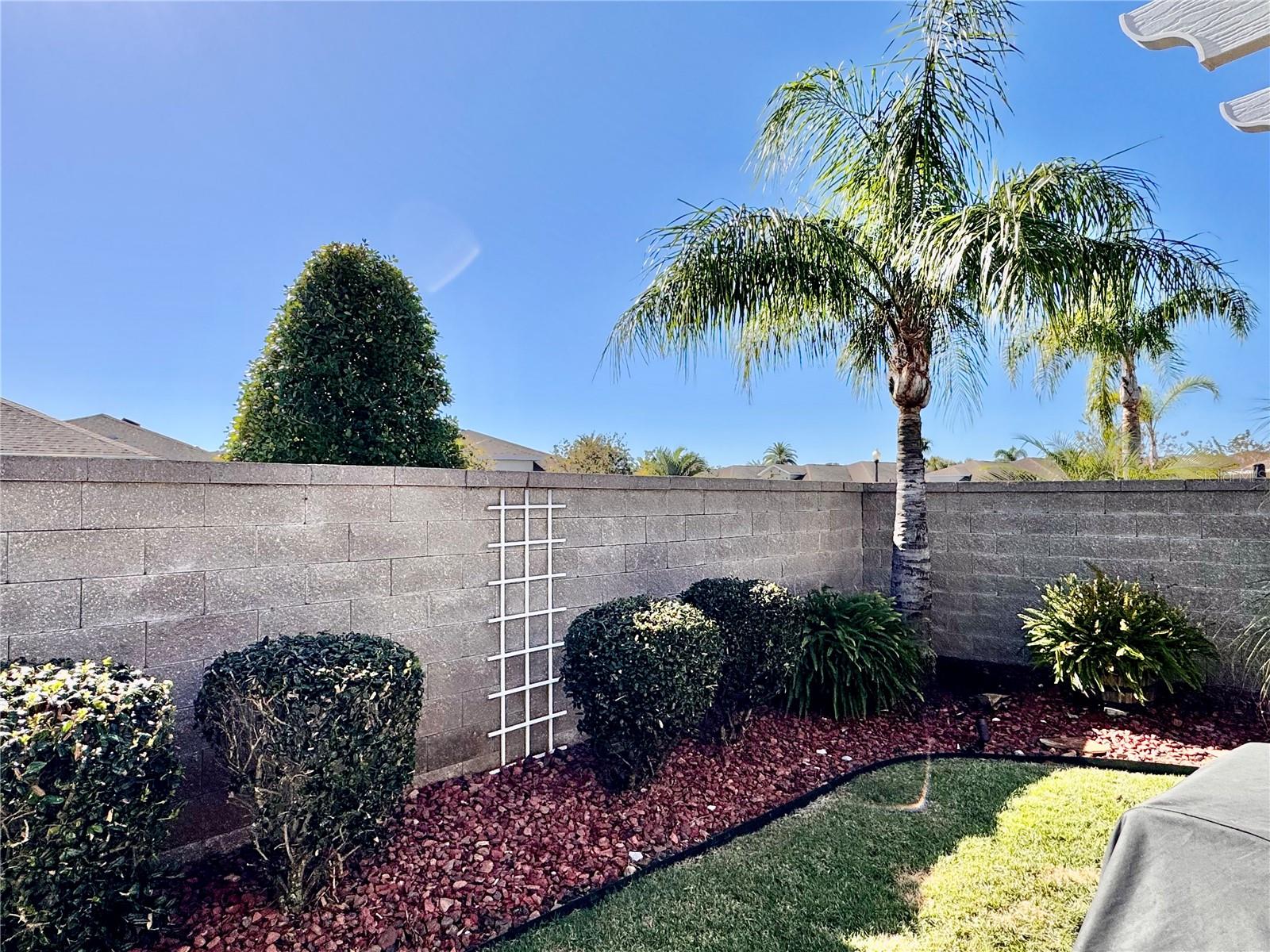 2372 ARBORDALE AVE, THE VILLAGES, FL, 32162