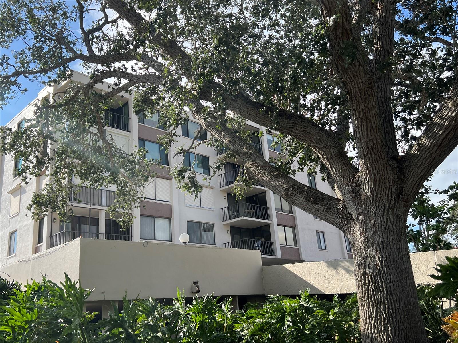 6219 PALMA DEL MAR BLVD S #504, ST PETERSBURG, FL, 33715