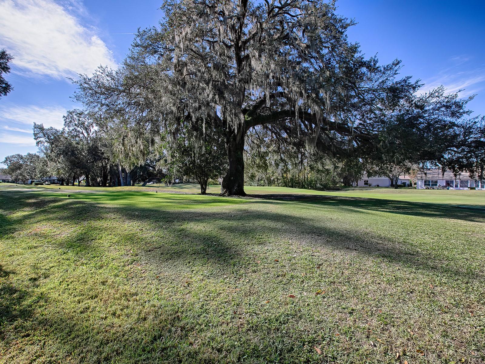 32619 OAK PARK DR, LEESBURG, FL, 34748