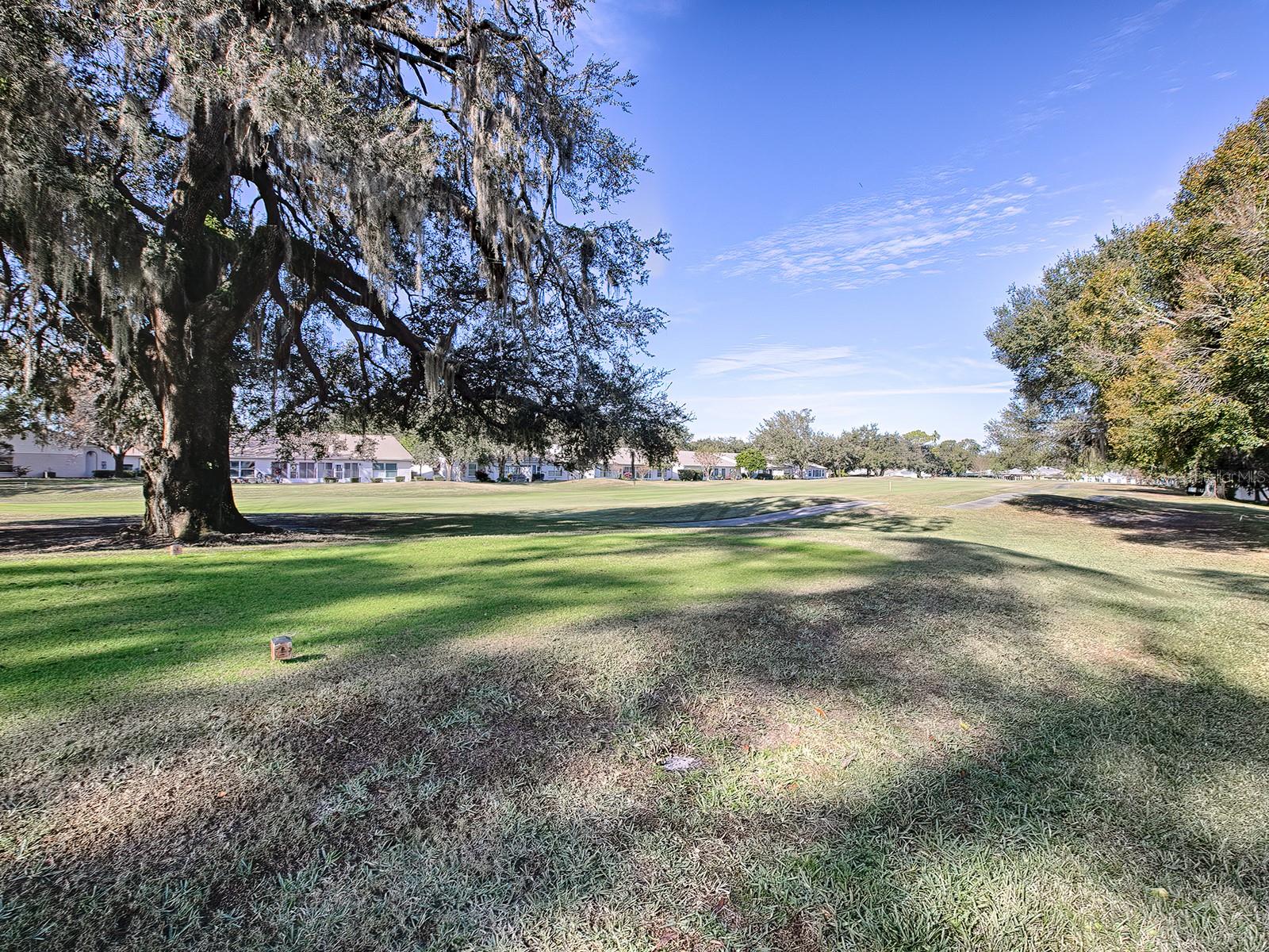 32619 OAK PARK DR, LEESBURG, FL, 34748