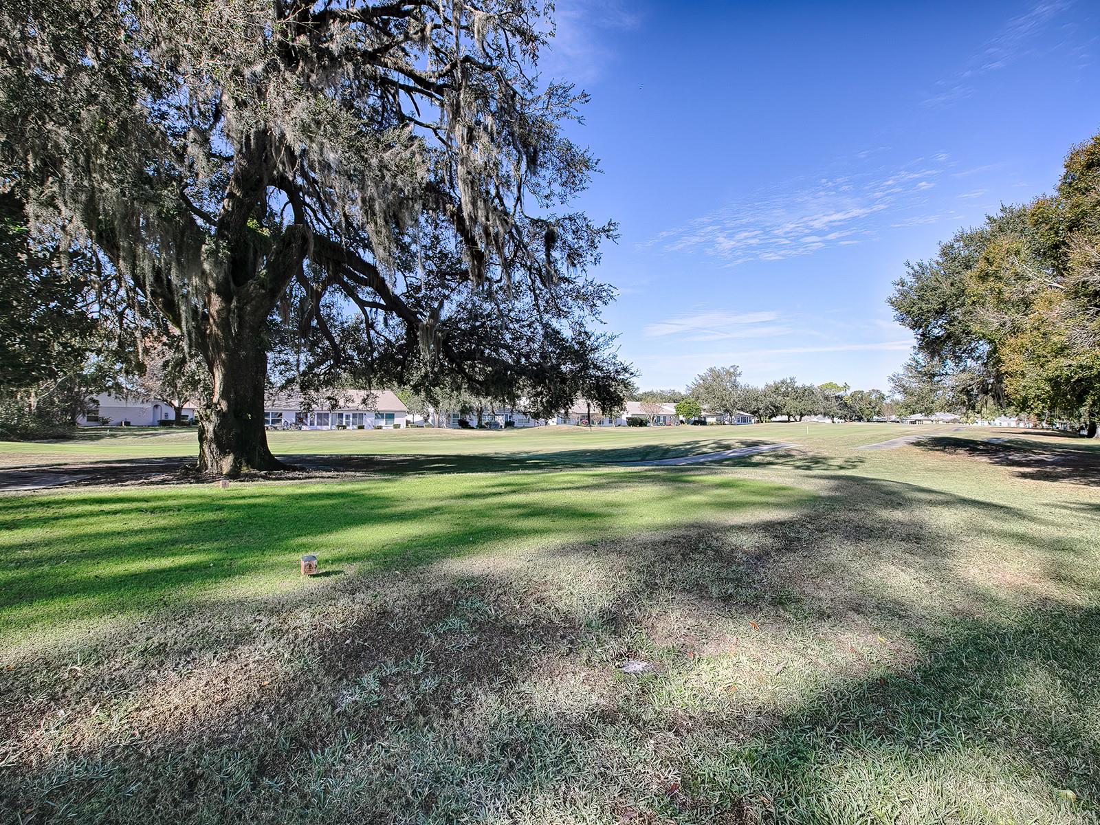 32619 OAK PARK DR, LEESBURG, FL, 34748
