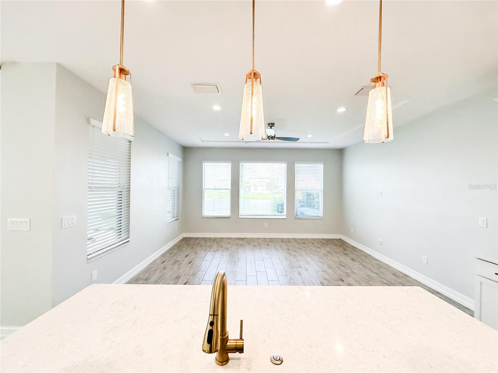 4823 TRAMANTO LN, WESLEY CHAPEL, FL, 33543