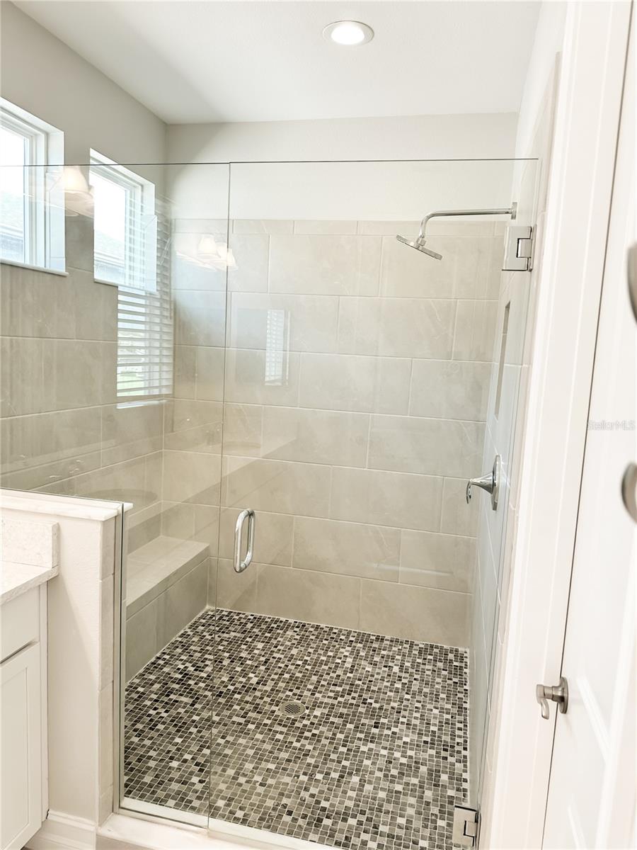 4823 TRAMANTO LN, WESLEY CHAPEL, FL, 33543