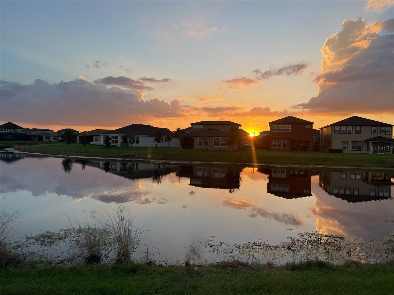 4823 TRAMANTO LN, WESLEY CHAPEL, FL, 33543