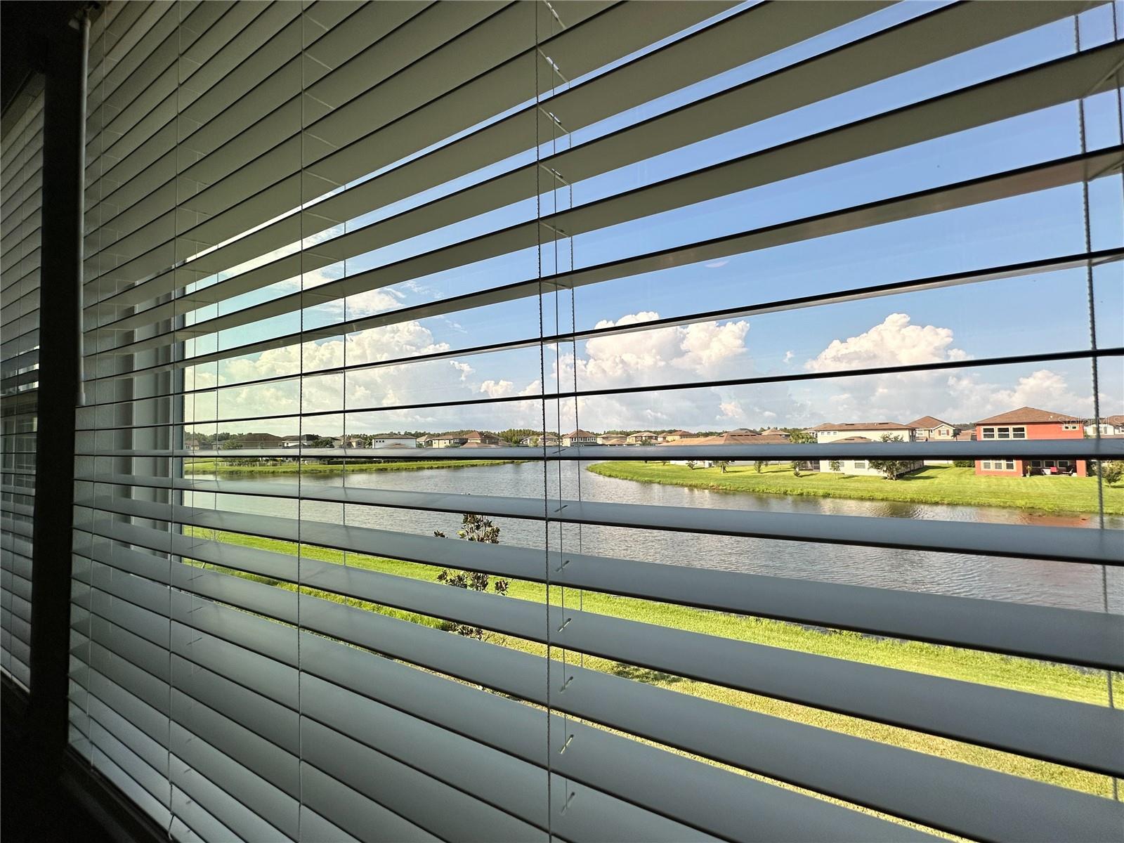 4823 TRAMANTO LN, WESLEY CHAPEL, FL, 33543