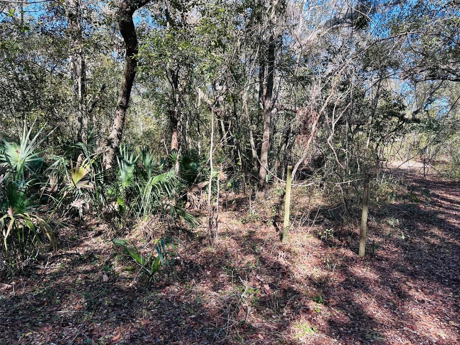 0 SE 229 LN, OLD TOWN, FL, 32680