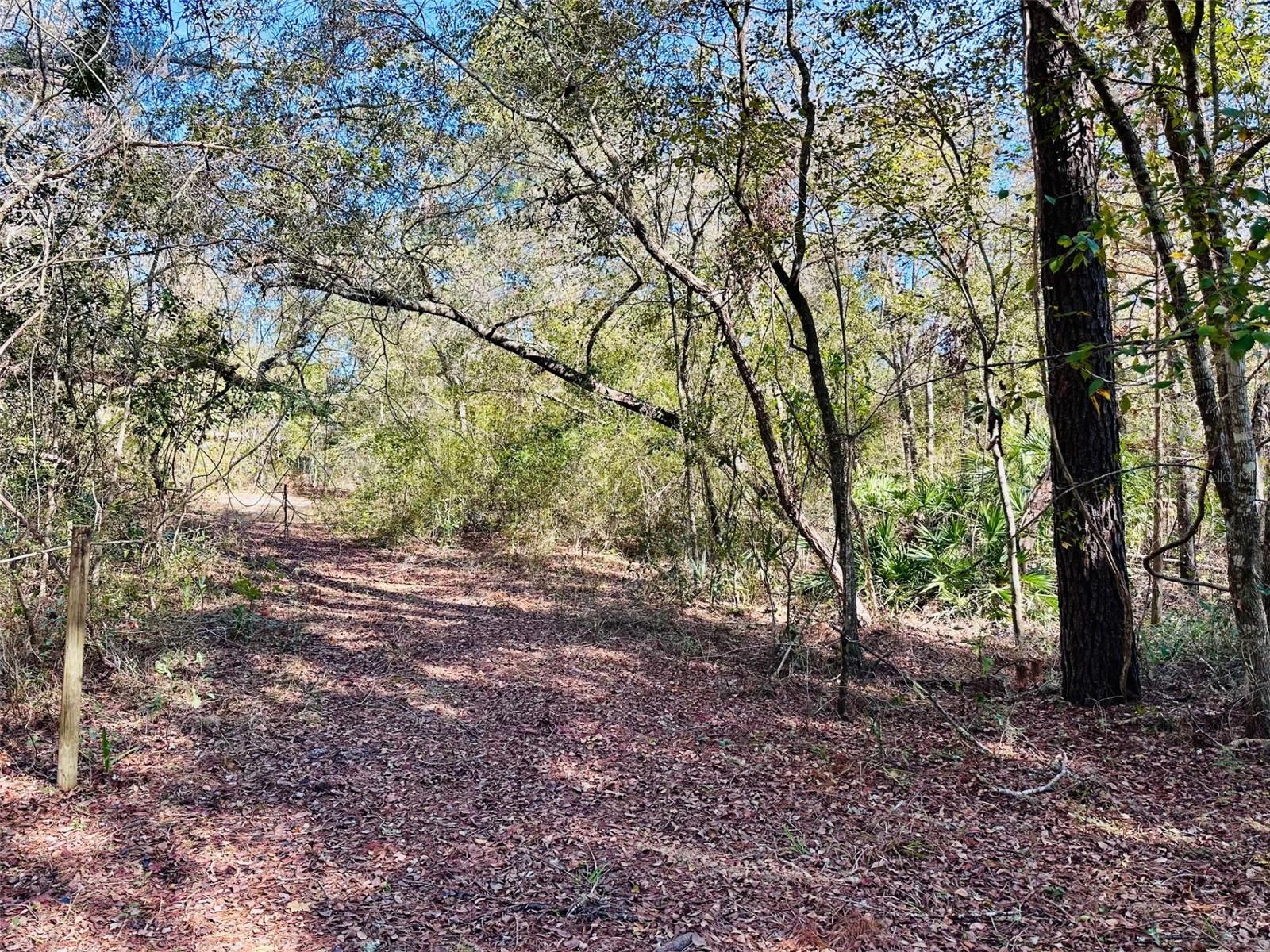 0 SE 229 LN, OLD TOWN, FL, 32680