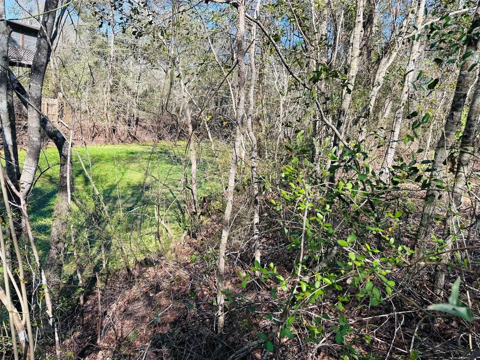 0 SE 229 LN, OLD TOWN, FL, 32680