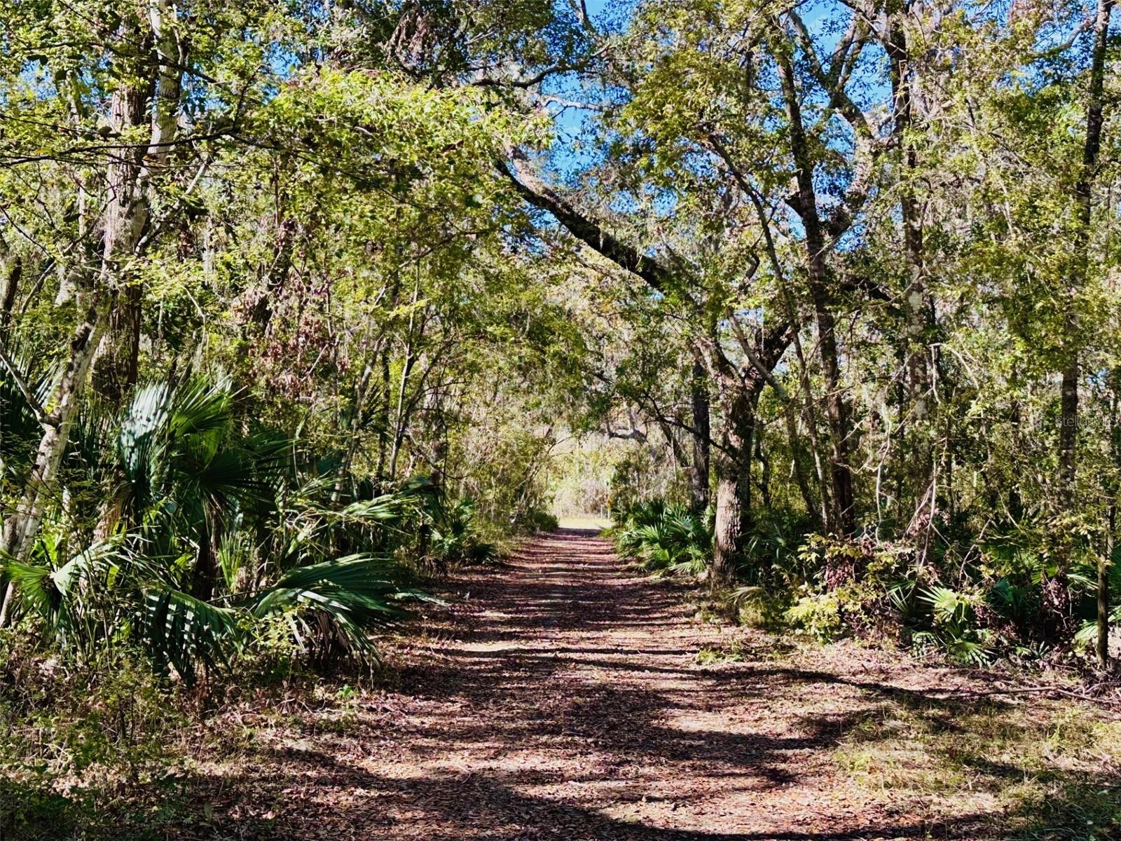 0 SE 229 LN, OLD TOWN, FL, 32680